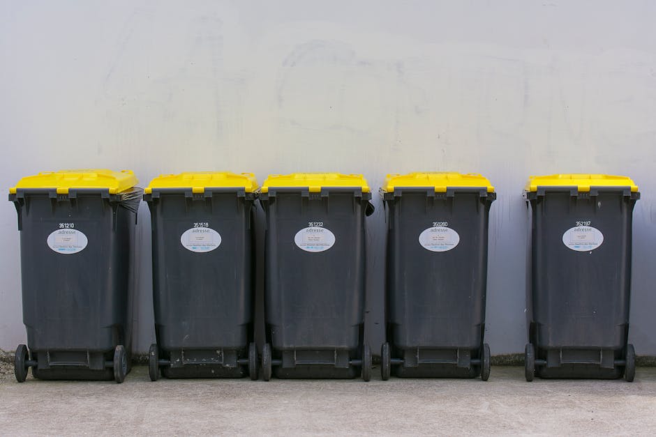 A person wearing a white t-shirt stands behind a white plastic bin labeled 'PLASTIC' in black marker, which is positioned on a surface against a light-colored background. The bin's lid is open, revealing a black plastic rubbish bag lining the interior, with its edges draped over the sides of the container. Inside the bin, a clear plastic egg carton and a round, transparent plastic container are visible. The person's arms, partially visible, are resting on the surface, and they are wearing disposable gloves. The scene appears to depict a recycling or waste collection process, emphasizing waste segregation for disposal or recycling, aligning with independent or private rubbish removal services. The focus is on the clearly identified plastic waste being prepared for disposal or collection, illustrating a method of waste management that can be part of a local rubbish clearance service in a residential or commercial setting.